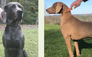 Winston and Valda